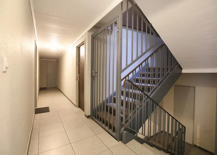 Expat Renting - Le Pastel - Netflix - Zenith *